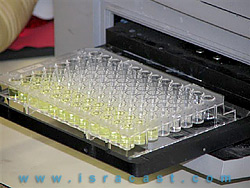 The SPECTRAFluor machine in the Hebrew university is used to measure the level of AChE enzyme in the blood serum.