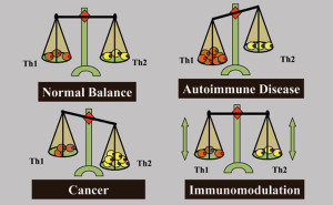 The immune system is maintained in a carefully regulated balance between the two polarised control arms, Th1 (cellular immunity) and Th2 (humoral immunity). In disease states the balance is skewed such that the immune picture of autoimmune disease patients, such as multiple sclerosis, rheumatoid arthritis and type I diabetes, have a Th1 bias, whereas cancer patients have a Th2 bias. Immunotherapy strategies aimed at boosting the immune system of cancer patients serve to enhance the dominant Th2 response that failed to eradicate the tumour. Therapeutic cancer vaccines need to be designed with an immunomodulatory mechanism which is capable of converting a resident Th2 dominant immune response in cancer patients to a Th1 dominant immune response.