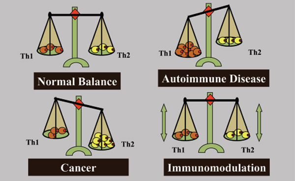 Exclusive A New Strategy For Immunotherapy Of Cancer Isracast