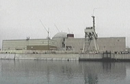 Iranian nuclear reactor in Bushehr