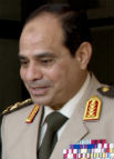 Newly elected Egyptian President el-Sisi