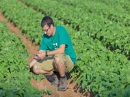 Taranis CEO Ofir Schlam using the app in the field. (Photo: courtesy Taranis/Israel21C)