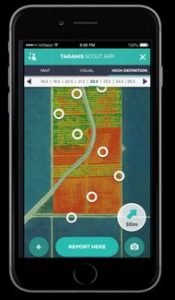 The Taranis app lets the farmer input daily observations to fine-tune the predictive capabilities. (Photo: courtesy Tatanis/Israel21C)