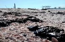 MASSIVE POLLUTION OF ISRAEL’S MEDITERRANEAN COAST – ACCIDENTAL, NEGLIGENCE, OR SABOTAGE?