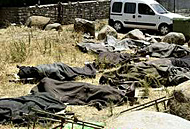 AFTERMATH OF TWELVE DEAD SOLDIERS