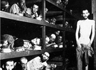 Iran opens conference questioning the Holocaust