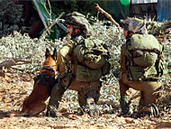 IDF in Gaza vs. NATO in Afghanistan