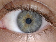 Israeli company unveils revolutionary artificial cornea
