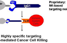 TARGET KILLING OF CANCER CELLS