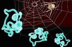 A WEB WITHOUT A WEAVER
