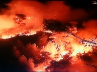 Haifa Inferno – Israel’s ‘Katrina’
