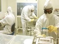 Could an immunotherapy treatment from Israel cure cancer?