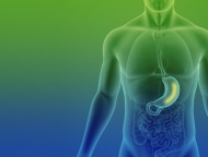 Treating obesity without going under the knife