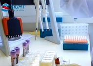 Fast, accurate test for malaria could be a game-changer